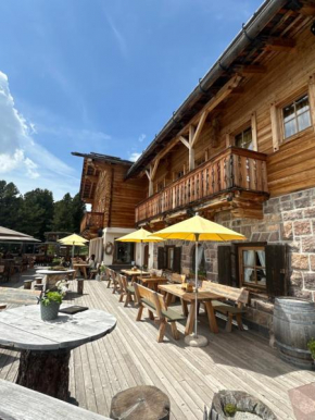 Chalet da mont Resciesa Ortisei